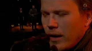 Poppies And Peonies.