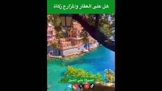 صورة أ.د. علي الشبل | هل على العقار والمزارع زكاة