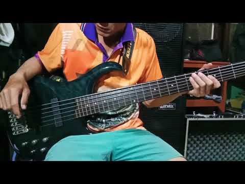 Darkglass Tone Capsule Test. (Pickups Both Only & Live sound not program)