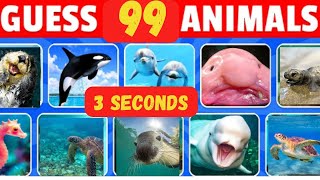 Guess the Animals | Animals Quiz