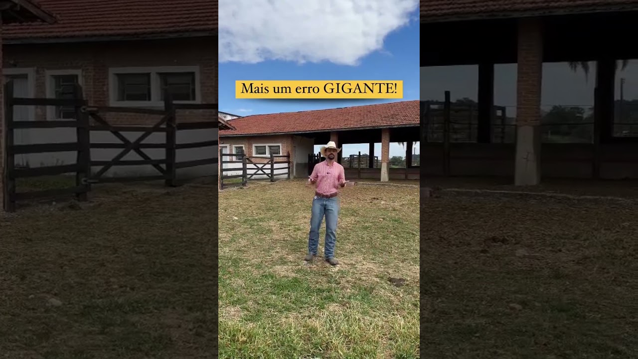 Suplementação Animal: Evite os 6 Erros Mais Comuns.