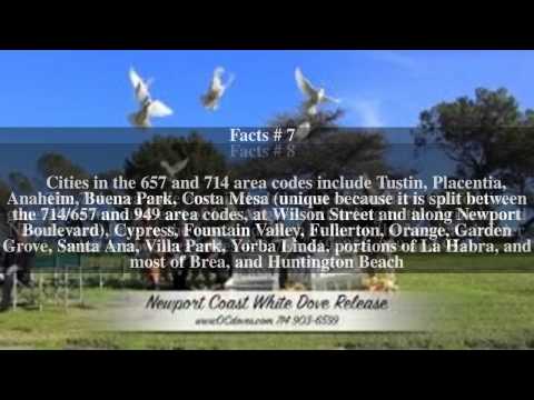 Area codes 657 and 714 Top # 12 Facts