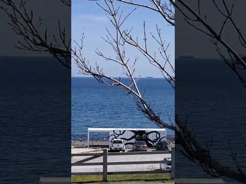 Beach Day #youtube #shortvideo #beach #sunshinesongs #beachlife #beautifulday