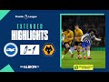 Extended PL Highlights: Albion 0 Wolves 1