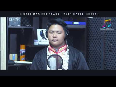 40​ xyoo​ mam​ zoo​ Nraug.​ Cover​ Txhaij Lauj.​ By​ tsom​ xyooj