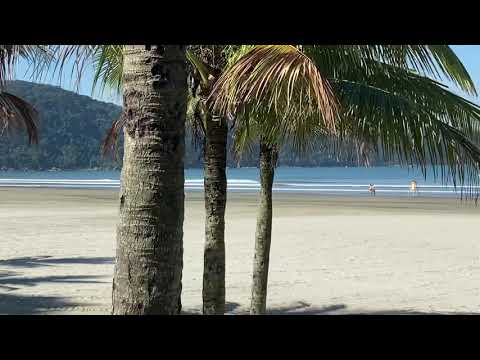 Guarda municipal tendo trabalhado na Praia Grande nesse sábado  nesse sábado