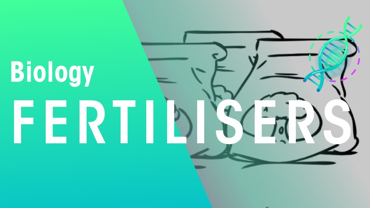 What Are Fertilisers | Agriculture | Biology | FuseSchool