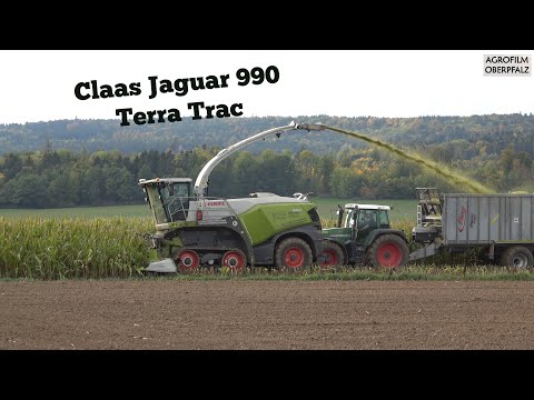 Auf leisen und kräftigen Sohlen durch den Mais - Claas Jaguar 990 TT - Maisernte 2022 - LU Zintl
