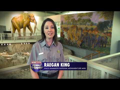 Road Trippin' Waco: Prehistoric Fun at the Waco Mammoth National Monument