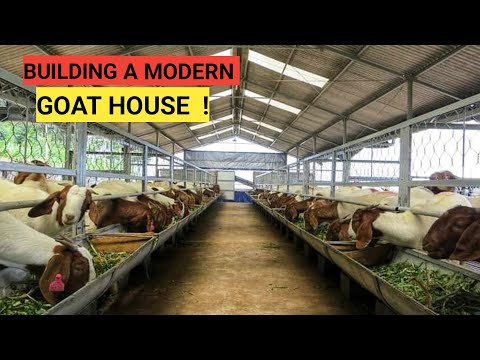 , title : 'Cost Of Building A MODERN GOAT HOUSE! | Simple and Secure'