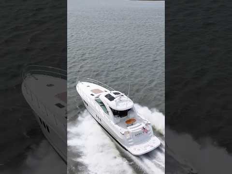 Sea Ray 60'