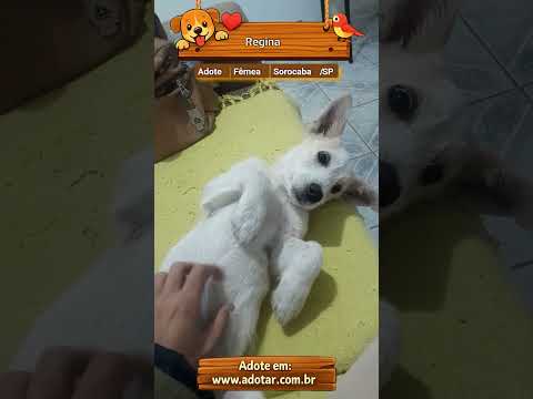 Vídeo de Regina