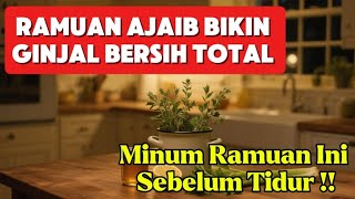 Download lagu Sudahkah Anda Minum Ini !! Ramuan Ajaib Pembersih Ginjal Tanpa Cuci Darah mp3 Download lagu Sudahkah Anda Minum Ini !! Ramuan Ajaib Pembersih Ginjal Tanpa Cuci Darah mp3