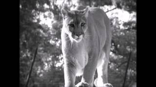 As one commenter says underneath, "I can literally feel my heart breaking into a million pieces."