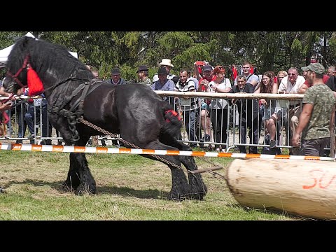 127 metri locul 3 la simplu dl.Alex Farcaș de la Hășdate - Cluj