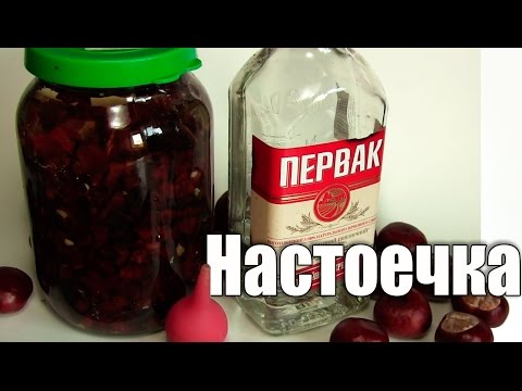 Делаем настойку каштана