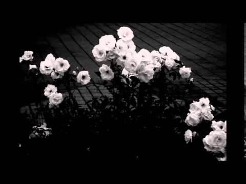 MTHR -  Howl Full EP