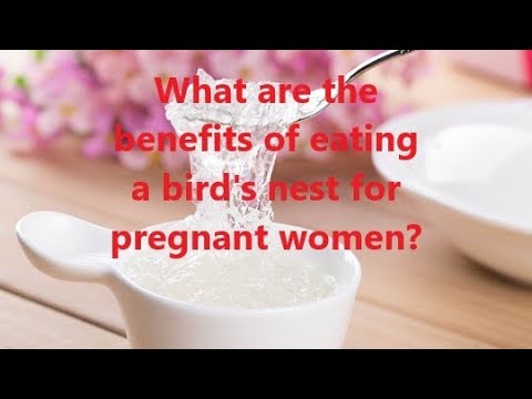 YouTube video about: Can pregnant lady eat bird nest?