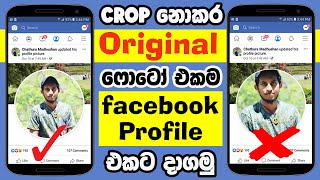 How to upload full size facebook profile picture without crop | facebook Sinhala 2020
