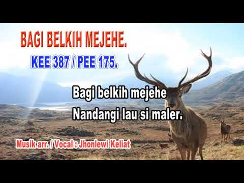 KEE 387 / PEE175 - Jhonlewi Keliat.