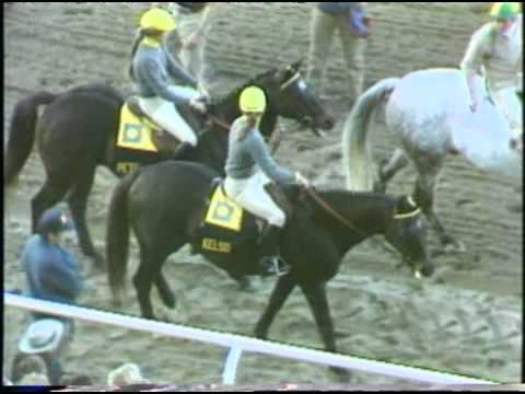 Kelso & Forego - 1983 Jockey Club Gold Cup