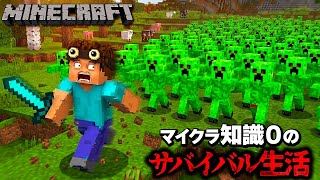 【マイクラ】０からはじめる初心者マインクラフト サバイバル生活 １日目【Minecraft】