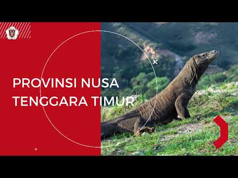 Sejarah singkat Provinsi NTT ( Nusa Tenggara Timur )