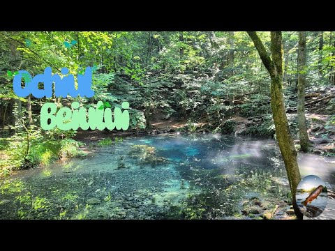 Lacul Ochiul Beiului | Parcul Național Cheile Nerei - Beușnița