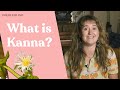 Kanna A Legal Plant For Microdosing More DoubleBlind