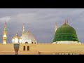 Teri Nasle Pak Mein Hai Bacha Bacha Noor Ka WhatsApp Status