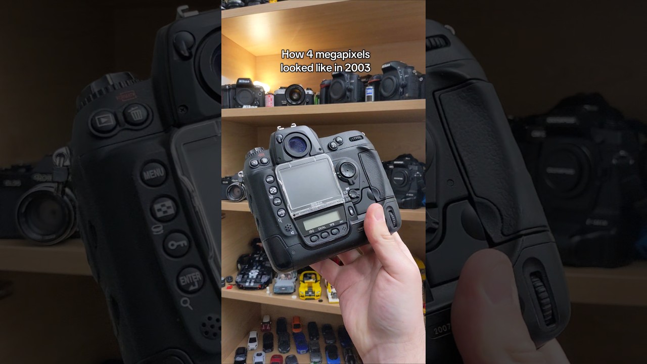 8fps in 2003 is genuinely crazy #nikon #retrotech #photography / track is Dream Island - Alyzea