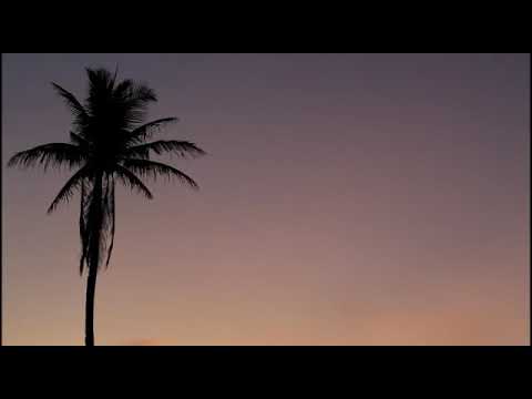 NH2F-PELAMPIASAN_CAVER VIDEO BY Ozhil Buatan