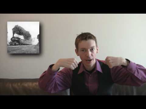 Maths Problem: Two Trains One Fly