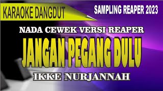 Download lagu Karaoke jangan pegang dulu (nada cewek) - Versi ikke nurjannah mp3