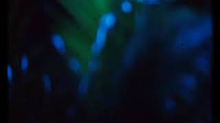 PAU MURO FT. DARKIEL - TE VOY A DAR ( REGGAETON)