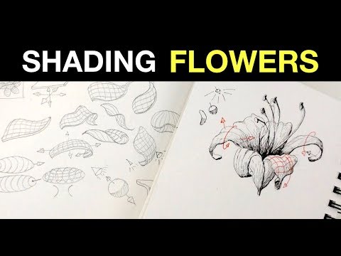 3 Tips on How to Shade Flowers | How to Draw Flowers Pt2
