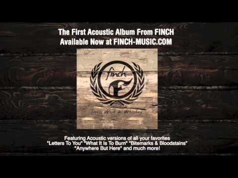 Video thumbnail for Daylight (Acoustic)