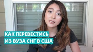 Как перевестись из России в США? Рассказывает выпускница Чикагского университета