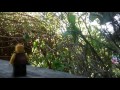 Lego Natureman