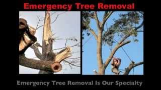 preview picture of video 'Emergency Tree Removal Livermore | Call (925) 273-7242'