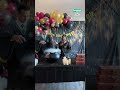 Harry Potter Gender Reveal Shorts