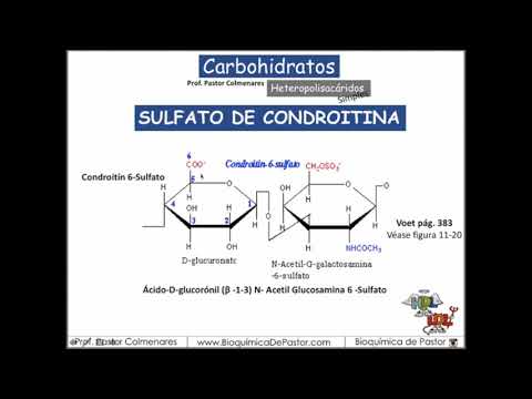 Ce face parte din condroitină și glucozamină
