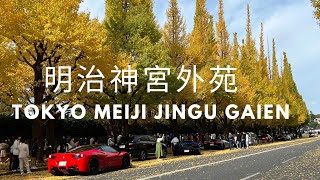 Ngắm lá vàng đẹp nhất tại Tokyo