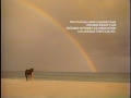 Closing To The Black Stallion VHS