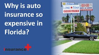 Why is auto insurance so expensive in Florida?