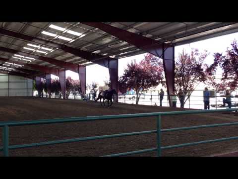 CQHA 2013 Summer Celebration JRV Open