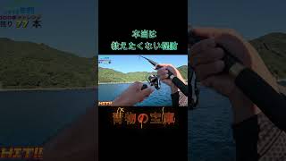 本当は教えたくない。大物が釣れる堤防シリーズ⑰#shorts #釣り #ショアジギング