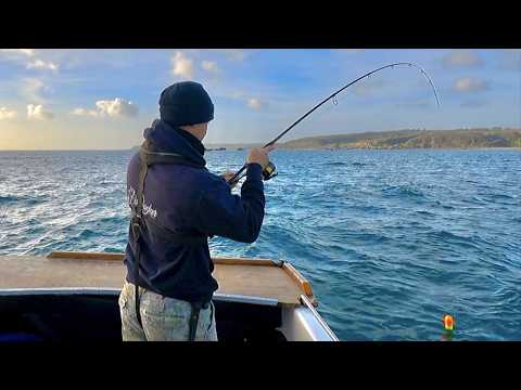 Sea Fishing UK - The BIG fish were biting!!! Sea Fishing in Cornwall | The Fish Locker