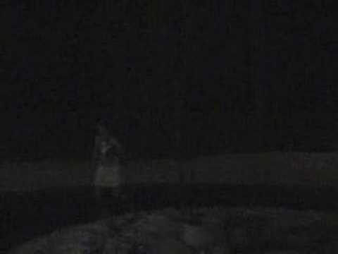 Pheidippides the Marathon Man