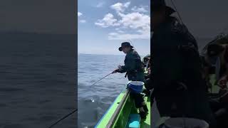 Download lagu yg mancing Cantik #shorts #mancing #viral mp3